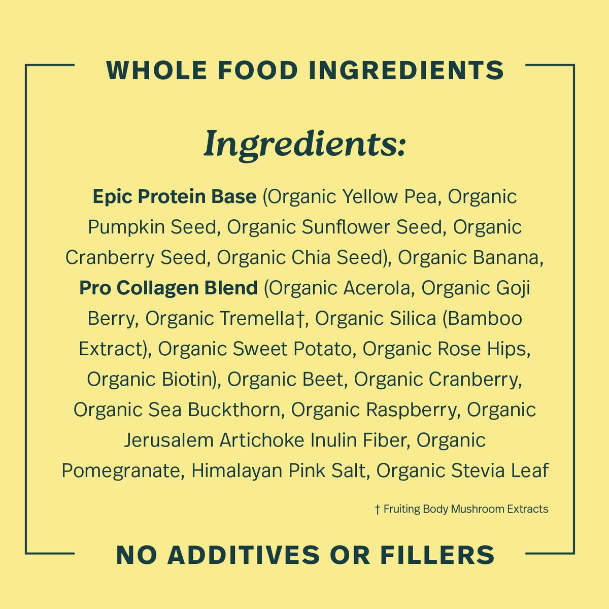 Sprout Living Epic Protein, Plant Based Protein & Superfoods Powder, Vanilla Lucuma Powder | 20 Grams Organic Protein Powder, Vegan, Non Dairy, Non-GMO, Gluten Free, Low Sugar (1 Pound, 12 Servings)