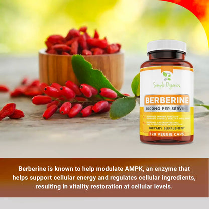 Simple-Organics Berberine 500mg (1000mg Per Serving) for Supports Healthy Immune