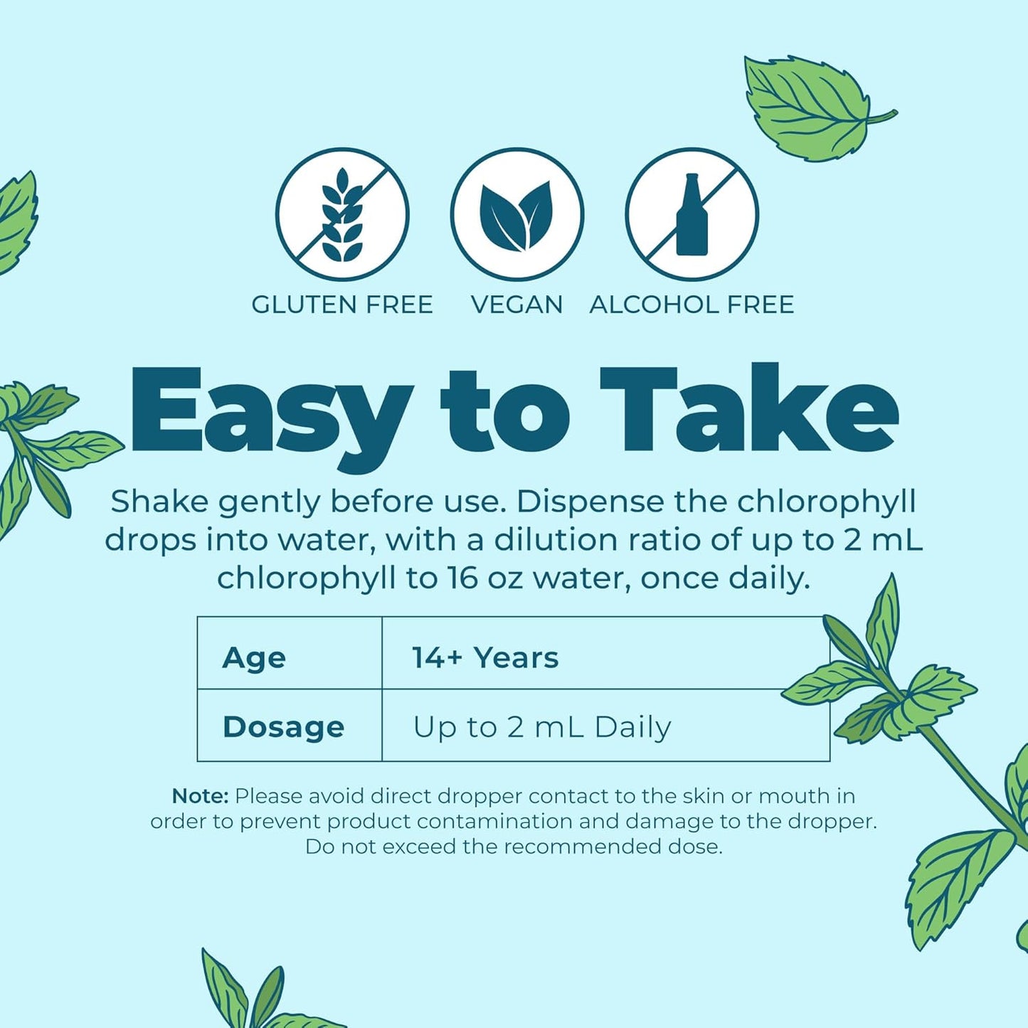 MARYRUTH'S Chlorophyll Liquid Drops | Clean Label Project Certified® | Vegan | Non-Diluted Liquid Chlorophyll| Mulberry Derived Supplement for Ages 14+ | Non-GMO | Delicious Minty Flavor | 2 Fl Oz