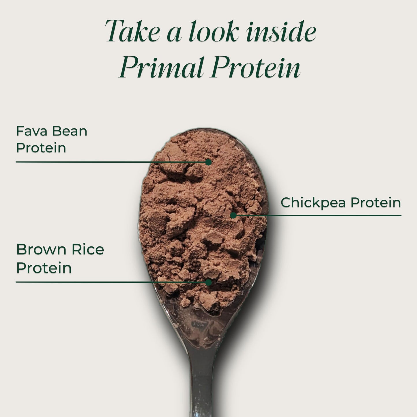 Primal Harvest Protein - Vegan Chocolate Protein Powder, Gluten & Dairy Free