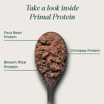 Primal Harvest Protein - Vegan Chocolate Protein Powder, Gluten & Dairy Free