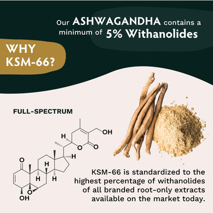 TRIBE ORGANICS Ashwagandha KSM 66 Pure Organic Root Powder Extract Ayurvedic