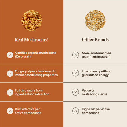 Real Mushrooms Cordyceps Mushroom Powder - Organic Cordyceps Powder Mushroom Energy and Wellness Support - Rich in Beta Glucans - Non-GMO, Vegan Supplement, 60 Servings