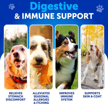 Dog Probiotic Chews + Salmon Oil Bundle - Probiotics & Prebiotics for Gut Health, Immunity, Yeast Balance, Reduces Diarrhea - Omega 3 with EPA & DHA for Skin, Coat, Joint & Allergy Support