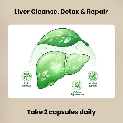 ‌Liver Protector – Liver Support Supplement with Milk Thistle, NAC & Turmeric | Helps with Digestive Comfort, Gluten-Free & Vegan Capsules (60 Count)‌