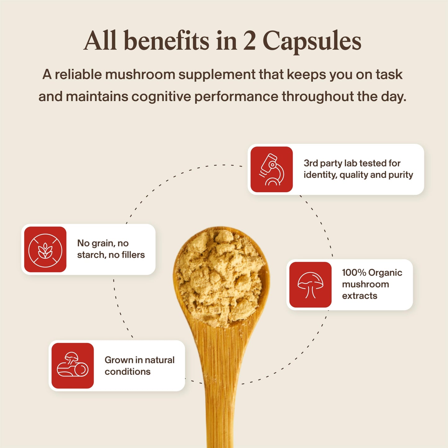 Real Mushrooms RealClarity Capsules – Lion’s Mane, KSM-66 Ashwagandha, Rhodiola & Bacopa – Mental Sharpness, Alertness. & Adaptogenic Support – Vegan, Non-GMO – 60 Count Mushroom Supplement