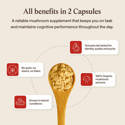 Real Mushrooms RealClarity Capsules – Lion’s Mane, KSM-66 Ashwagandha, Rhodiola & Bacopa – Mental Sharpness, Alertness. & Adaptogenic Support – Vegan, Non-GMO – 60 Count Mushroom Supplement