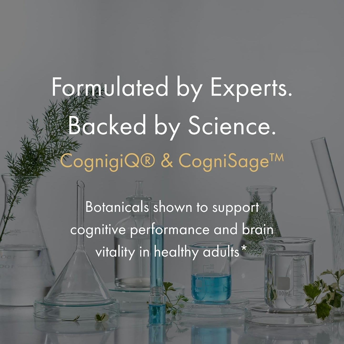 NAOMI BrainSpan™ with BDNF Support - Supports Working Memory, Focus & Concentration - CogniSage™, CognatiQ®, Lion Mane, Phosphatidylserine, Ginkgo Biloba, B6 & B12, Non-GMO, 30-Day Supply