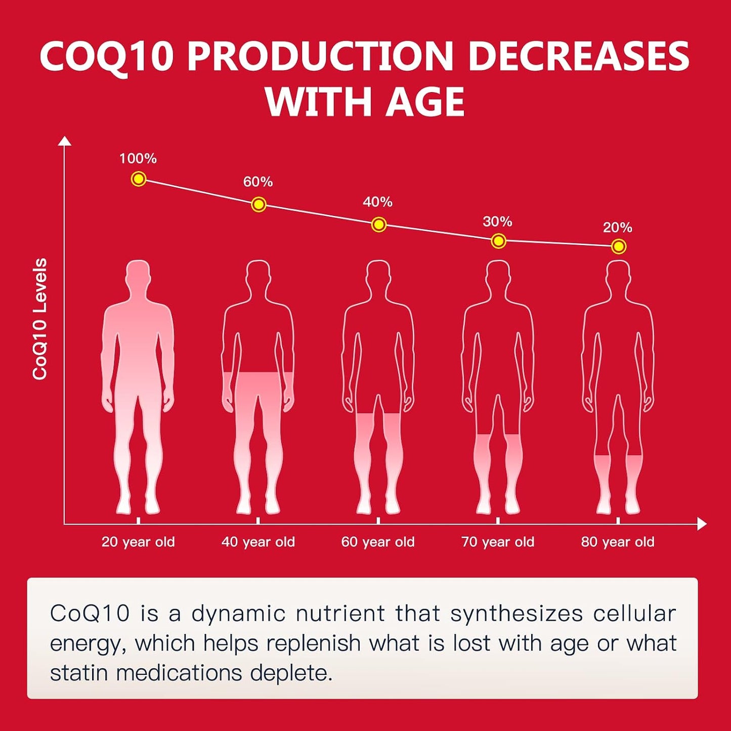 NATURE TARGET CoQ10-300mg-Softgels + PQQ with Organic-Olive-Oil - High Absorption-Coenzyme-Q10 - Antioxidant-for-Heart-Health and Immune Support, Energy Production, 120 Servings | High Absorption Coenzyme Q10 with BioPerine, Antioxidant for Heart, Brain,