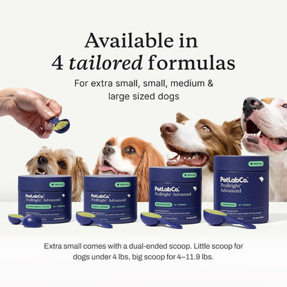 PetLab Co. – Gut & Breath Bundle: Dental Powder for Fresh Breath in 1 Scoop. for Small Dogs & Salmon Dog Probiotics to Support a Healthy Gut - Easy to Use – Innovative Formulas