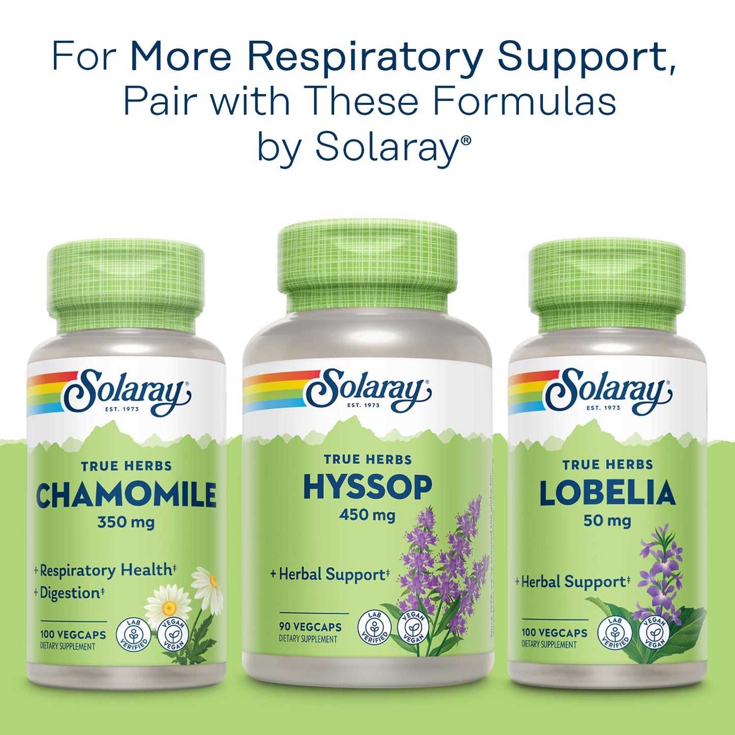 SOLARAY Mullein Leaf 330 mg - Soothing Herbal Support - Mullein Capsules Traditionally Used to Support Health and Wellness - Vegan, Non-GMO, Lab Verified, 60-Day Guarantee, 100 Servings, 100 VegCaps
