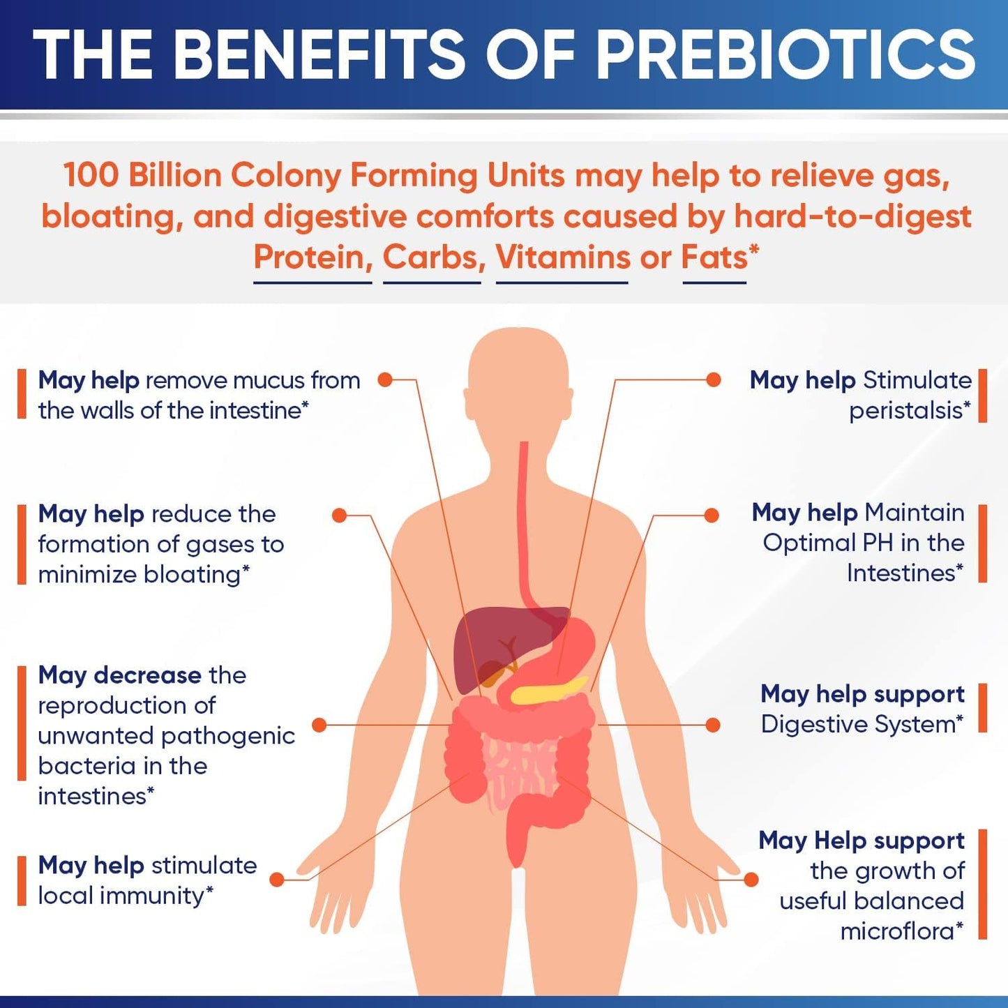 Organic Probiotics 100 Billion CFU, Dr Formulated for Women and Men + Whole Food Multivitamin for Men, Natural Multi Vitamins, Minerals, Organic Extracts Bundle