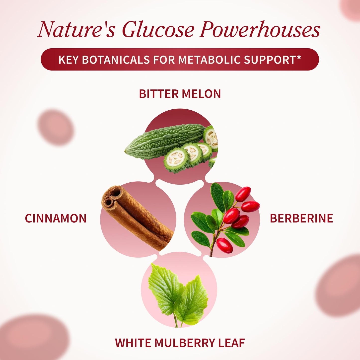 Snap Supplements Blood Sugar Blend with Berberine, CoQ10, 60 Vegan Capsules | Support Already Healthy Blood Sugar, Metabolic Health and Energy, Sugar Free, with CoQ10, Cinnamon (Packaging May Vary)