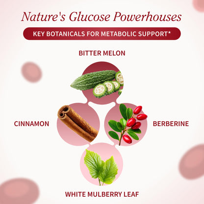 Snap Supplements Blood Sugar Blend with Berberine, CoQ10, 60 Vegan Capsules | Support Already Healthy Blood Sugar, Metabolic Health and Energy, Sugar Free, with CoQ10, Cinnamon (Packaging May Vary)