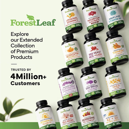 ForestLeaf Berberine Supplement - 1300mg per Serving - Ultra High Potency Berberine HCl with Ceylon Cinnamon, Bitter Melon & Gymnema - GLP-1 Weight Management Support - 90 Caps