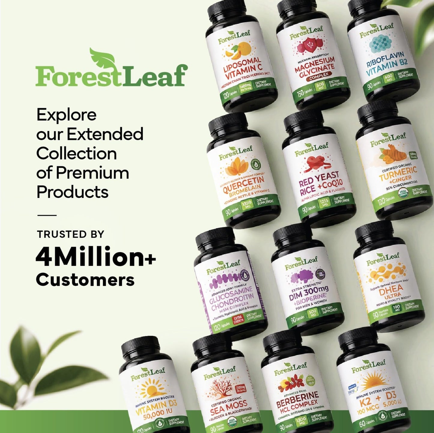 ForestLeaf Berberine Supplement - 1300mg per Serving - Ultra High Potency Berberine HCl with Ceylon Cinnamon, Bitter Melon & Gymnema - GLP-1 Weight Management Support - 90 Caps