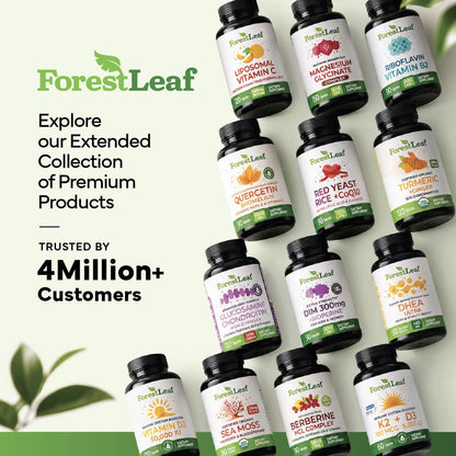 ForestLeaf Berberine Supplement - 1300mg per Serving - Ultra High Potency Berberine HCl with Ceylon Cinnamon, Bitter Melon & Gymnema - GLP-1 Weight Management Support - 90 Caps