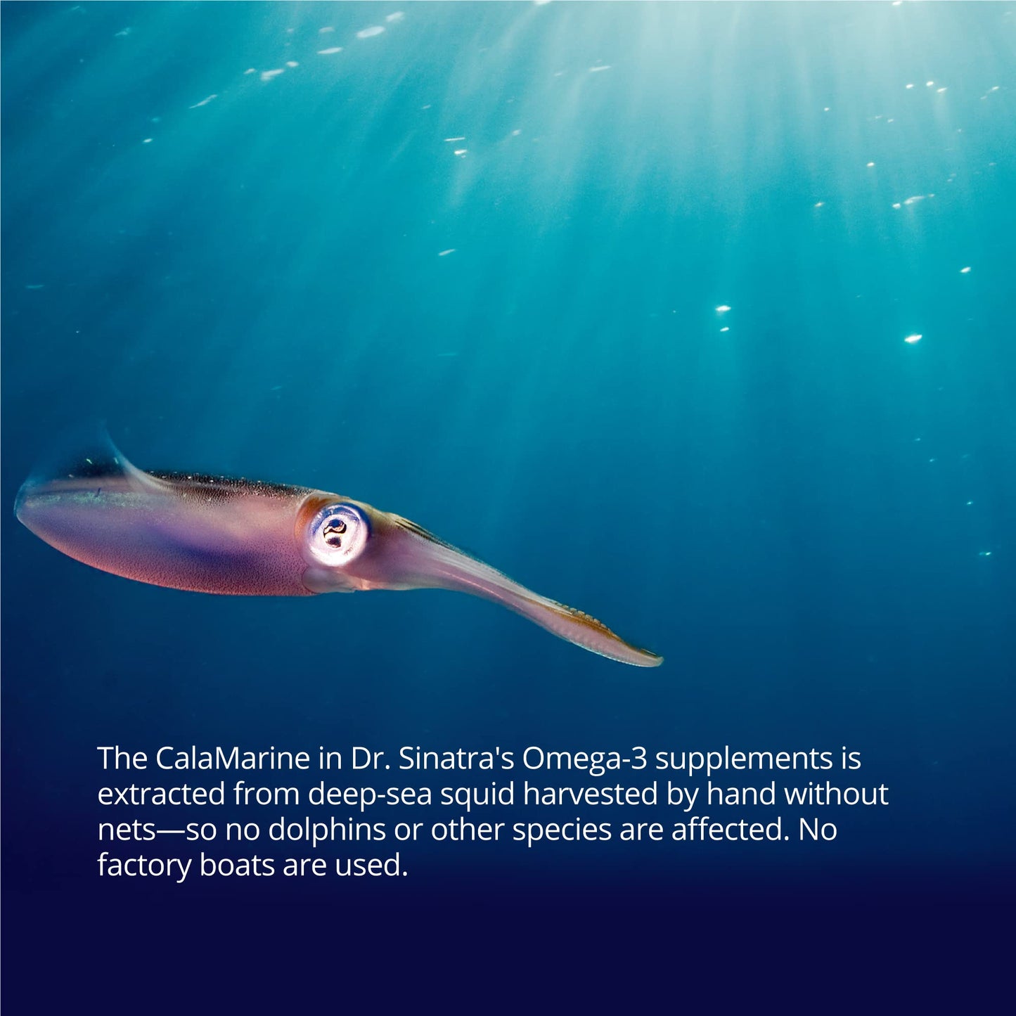 Dr. Sinatra CalaMarine Omega 3 Supplement with DHA and EPA, Clinical Grade for Brain, Heart, and Eye Health, 60 Softgels