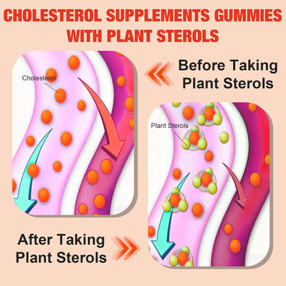 2 Packs Cholesterol Supplements with 2000 Mg Plant Sterols & Stanols, Citrus Bergamot, Red Yeast Rice, Lowering, Mixed Berry Flavor, 120 Counts