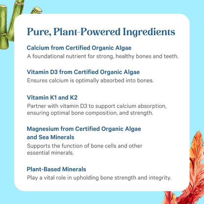 PURE SYNERGY Bone Renewal | Bioavailable Calcium with Cofactors | Natural, Vegan Supplement with Vitamin D3, K2, Magnesium, & Boron | for Lasting Bone Strength (150 Capsules)