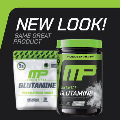 MusclePharm Glutamine, Pure L-Glutamine Powder Supplement for Post Workout Muscle Recovery, Energy & Gut Health, 5g L Glutamine Powder per Serving, Gluten-Free, Unflavored, 60 Servings