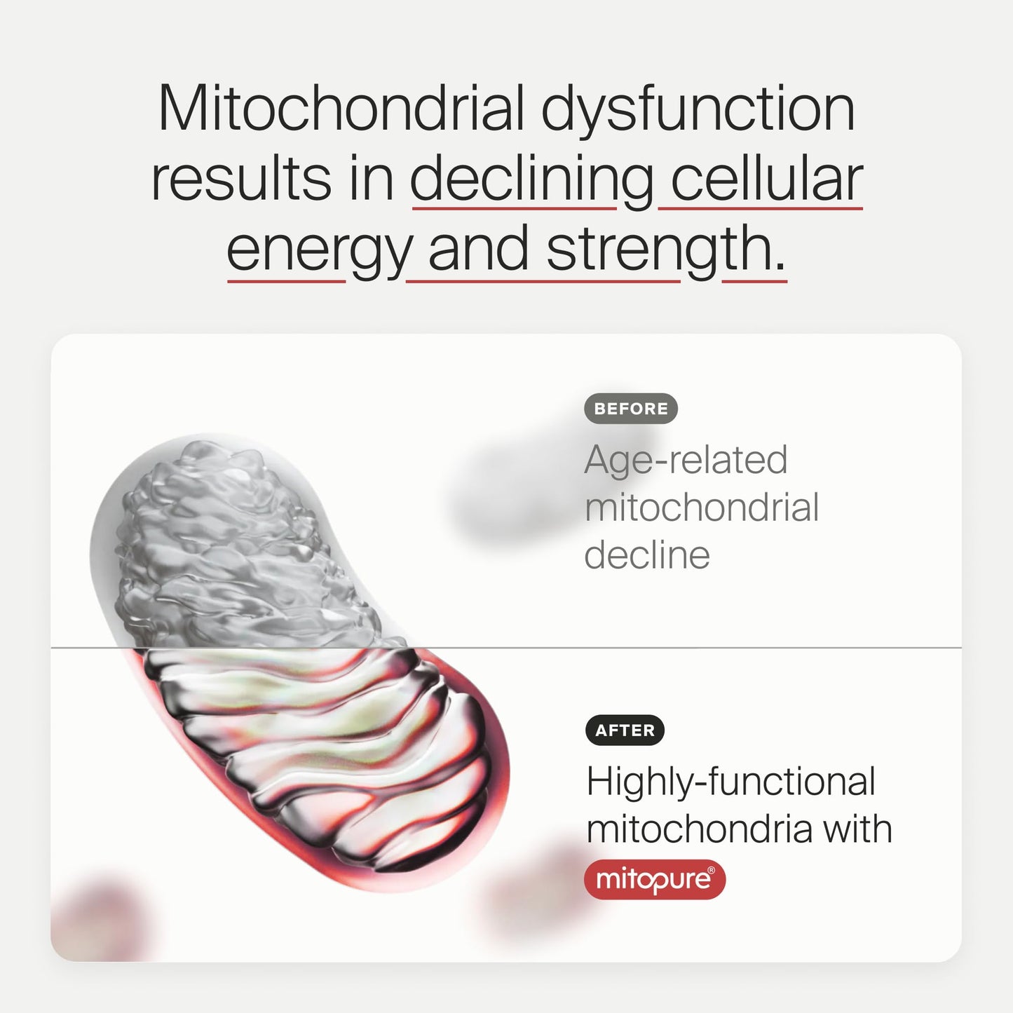 Timeline Mitopure Urolithin A Supplement Powder 500 MG- Clinically Proven Support for Healthy Aging and Cellular Renewal - Mitoceutical for Muscle Support and Longevity