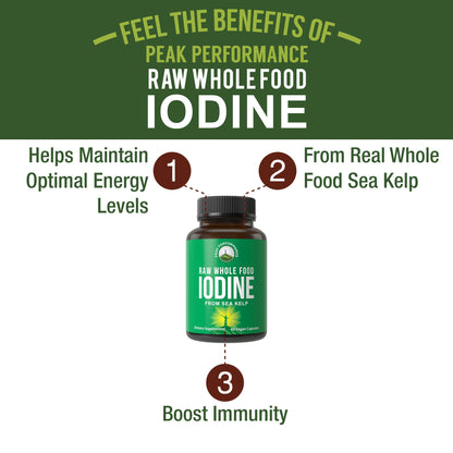 Raw Whole Food Iodine Supplement from Organic Kelp (Ascophyllum Nodosum) by Peak Performance. Potassium Iodide Support Tablets. for Metabolism, Energy, and Immune. 60 Vegan Capsules, Pills