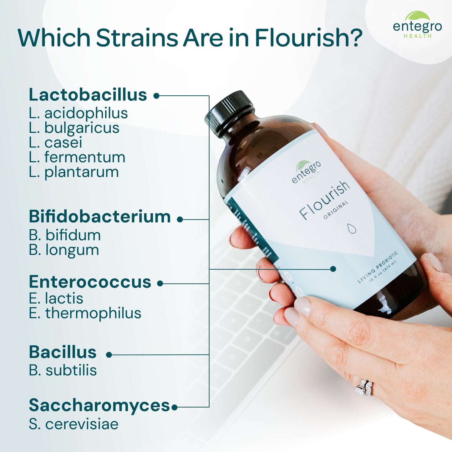 ENTEGRO Flourish Original Liquid Probiotic & Postbiotic Supplement, Plastic | 11 Live Cultures, Gut & Digestive Health For Women, Men & Kids, Organic, Vegan, Allergen Free, Non-GMO, USA Made, 16 fl oz