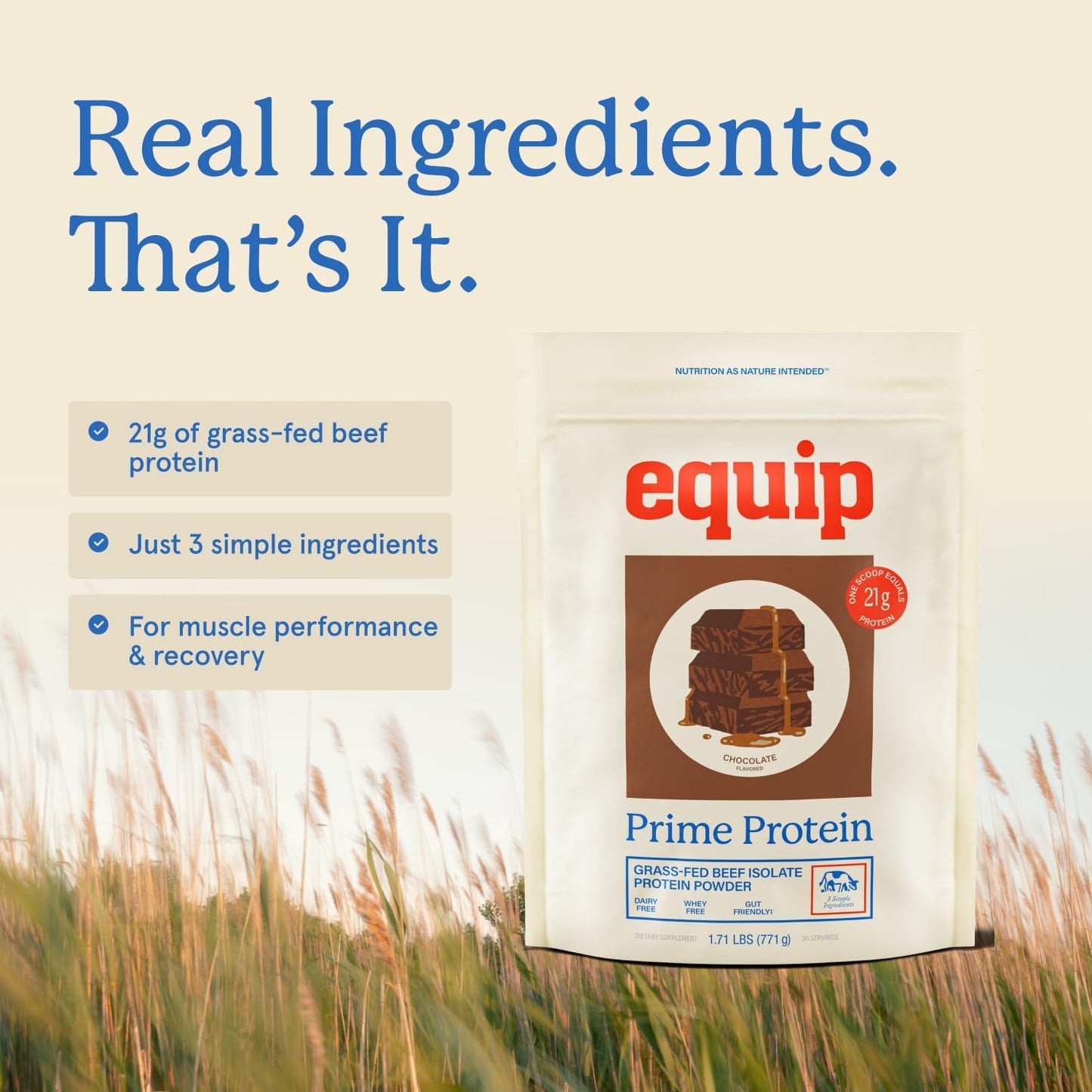 Equip Prime Chocolate Protein Powder - Gut-Friendly, No Sugar Protein Shake Powder with Grass-Fed Beef & Natural Collagen - Rich & Creamy Mix - 21g Per Serving - Whey & Dairy-Free (30 Scoops)