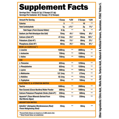 ALPHA LION Superhuman Intra Workout Powder for Men & Women, Amino Acids Drink, Muscle Recovery Supplement, BCAA Powder, Electrolytes & Hydration Mix (42 Servings, Watermelon Grape Candy Flavor)