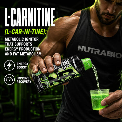 NutraBio – L-Carnitine Liquid Shots – 3000mg, (Green Apple) – 10mg of Vitamin B-5 – Zero Carbs & Sugars – Energy Production – Muscle Recovery