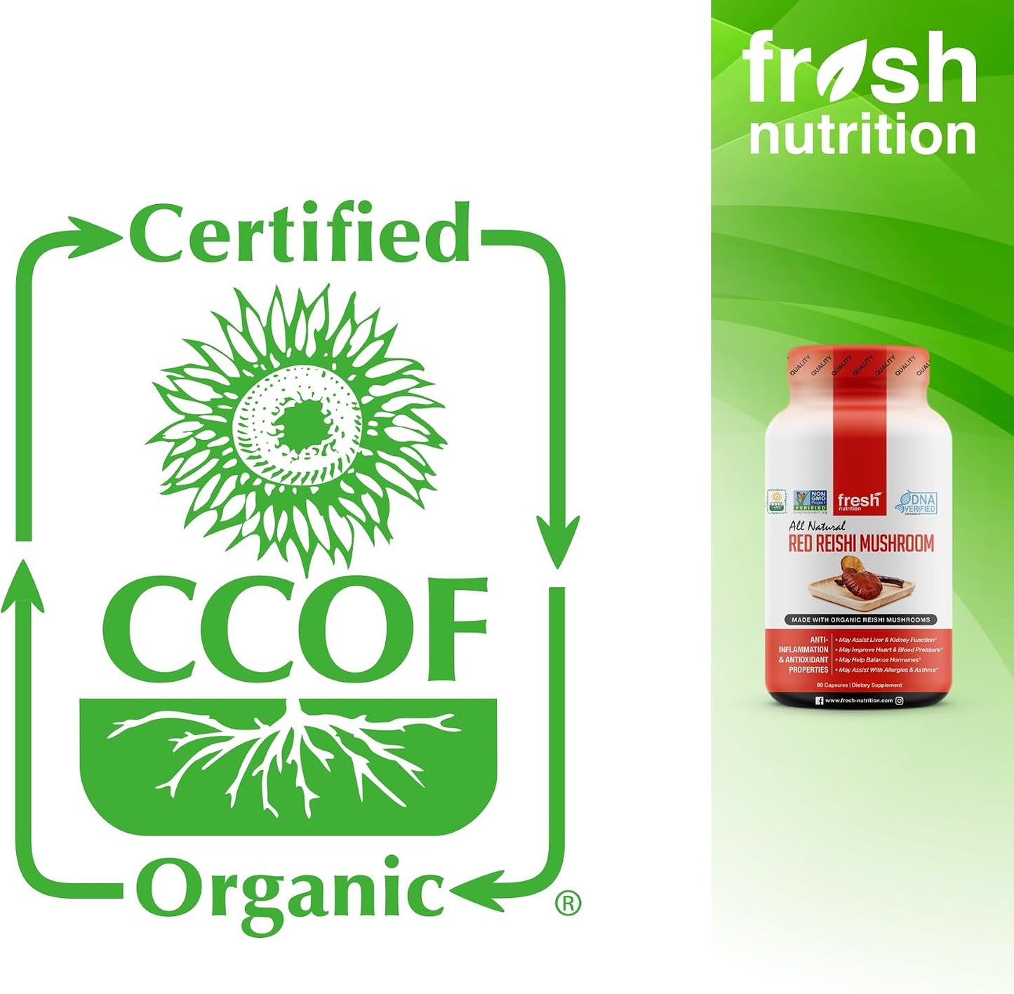 Fresh Nutrition Organic Reishi Mushroom Capsules - Rich in Alpha Glucan - Ganoderma Lucidum & Ganoderma Applanatim - Third Party Tested - 90 Capsules/Pills