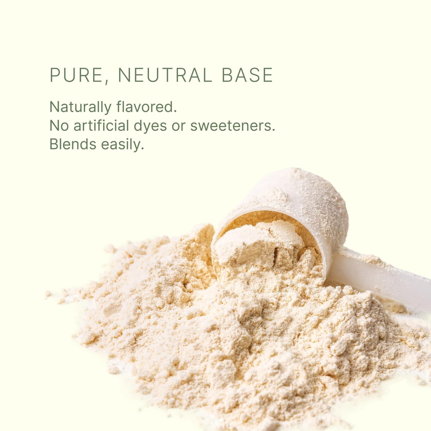 Dr. Murray's USDA Organic Plant Based Protein Powder | 20g Protein | 6g Fiber | Vegan & Keto | Gluten & Dairy Free | Low Carb | No Added Sugar | Matcha, 1 lb.