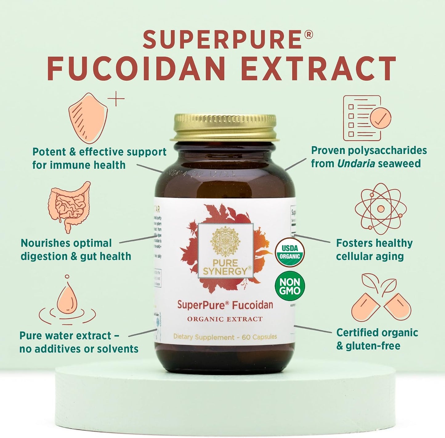 PURE SYNERGY SuperPure Fucoidan Extract | Gluten-Free Fucoidan from Organic Brown Seaweed | for Immune Health, Digestion, and Healthy Aging (60 Capsules)