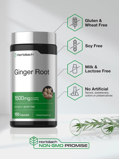 Horbäach Ginger Root Extract Supplement | 150 Capsules | Traditional Herbal Formula | Non-GMO & Gluten Free