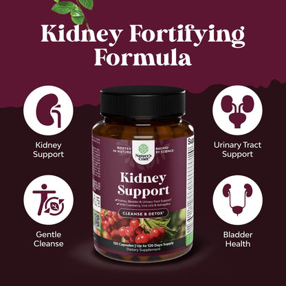 Advanced Kidney Support Supplement - Kidney Cleanse Detox & Repair Cranberry Extract Capsules with Uva Ursi, Stinging Nettle & Astragalus for Kidney Health - Urinary Tract Health - 60 Count