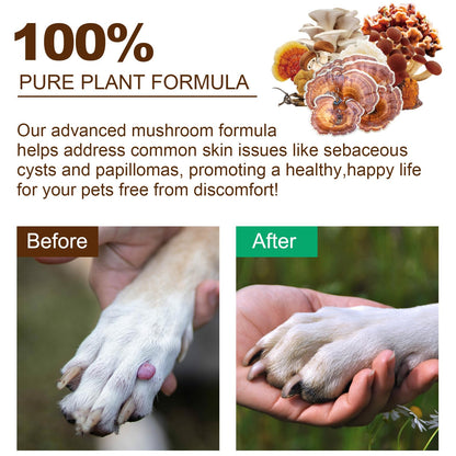 Mushroom Supplement Powder for Dogs & Cats, 11 Beneficial Mushroom Complex for Immune Support, Cellular Protection, Heart & Brain Health Lion's Mane, Reishi & Turkey Tail, Bacon Flavor - 120g