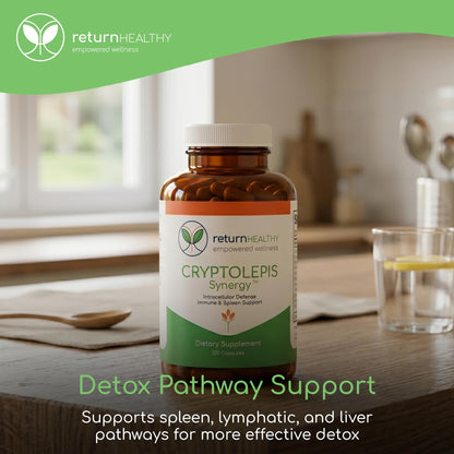 Cryptolepis Synergy, Immune Support Vitamins, Immune System Booster for Adults, Liver, Lymphatic, & Immune Support Supplement, Supports Lyme & Natural Parasite Defense, 120 Capsules