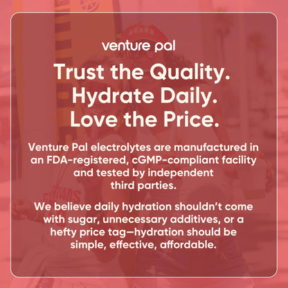 Venture Pal Sugar Free Electrolyte Powder, Liquid Daily IV Hydration Packet | 7 Electrolytes & 5 Vitamins, Electrolytes Dink Mix for Party Recovery & Instantly Hydration, Vegan, Keto-Friendly, 16 Sticks