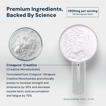 HPN C2 Creatine Monohydrate for Performance, Recovery, Strength, Working Out, Vegan, Non-GMO, Dairy and Soy Free, Independently Tested, Ultrapure Premium Creapure (100 Servings)