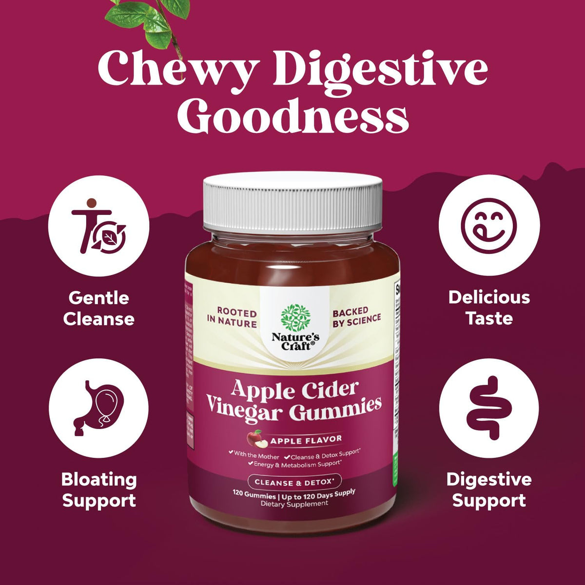 ACV Apple Cider Vinegar Gummies - Natural Energy Supplement ACV with Mother