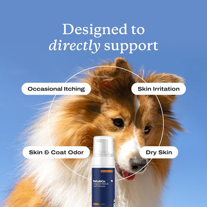 PetLab Co. Skin & Coat Mousse for Dogs, Leave-in Moisturizer, 7 fl oz | Fast-absorbing, deodorizing mousse to support dry or irritated skin comfort between baths, mess-free