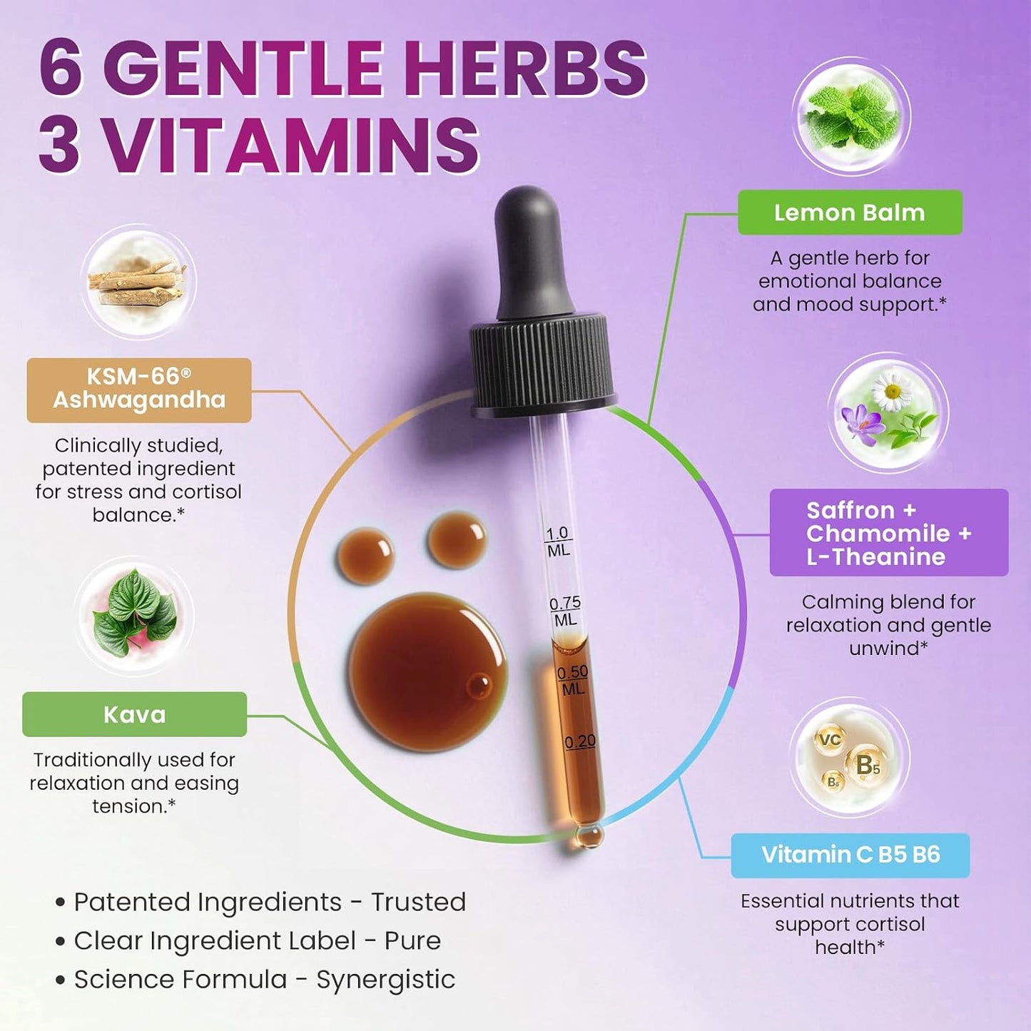 Cortisol Supplements for Women, Mood, Calm, Stress Balance, Hormone Harmony | 9 IN 1 Cortisol Reducer Liquid Drops with KSM-66® Ashwagandha, Kava, Lemon Balm, GMP Certified, 2 FL.OZ, Blueberry Flavor