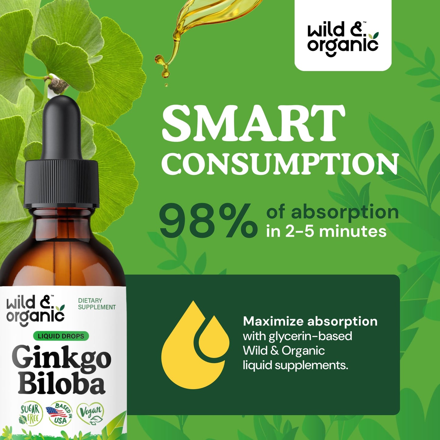 Wild & Organic Ginkgo Biloba Extract Drops - Brain & Focus Support - Liquid Ginkgo Biloba Supplements - Vegan, Sugar & Alcohol-Free Herbal Tincture - 4 fl oz