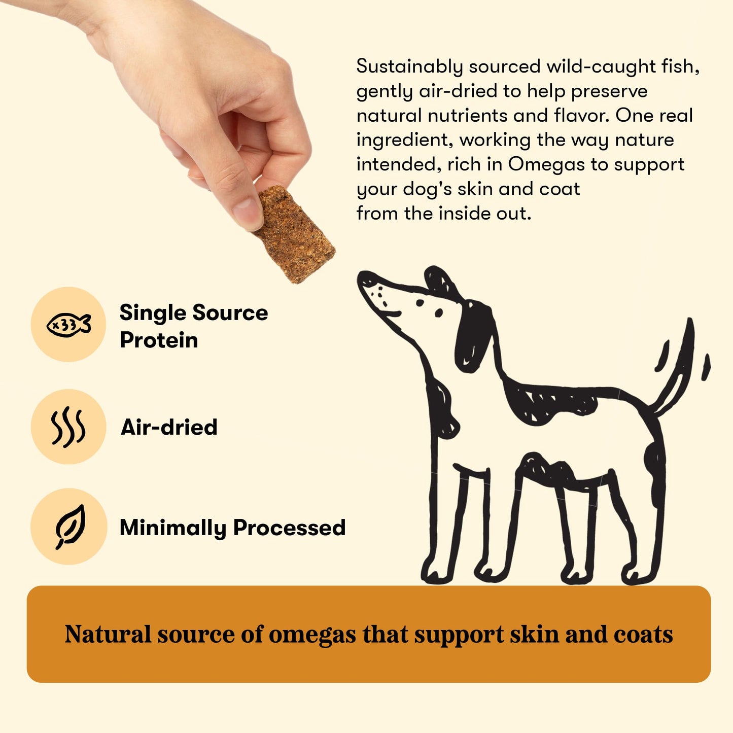 Plato Real Strips Salmon Recipe Dog Treats, Air-Dried High-Protein Soft Strips, Omega-Rich Skin & Coat Support, 18 oz