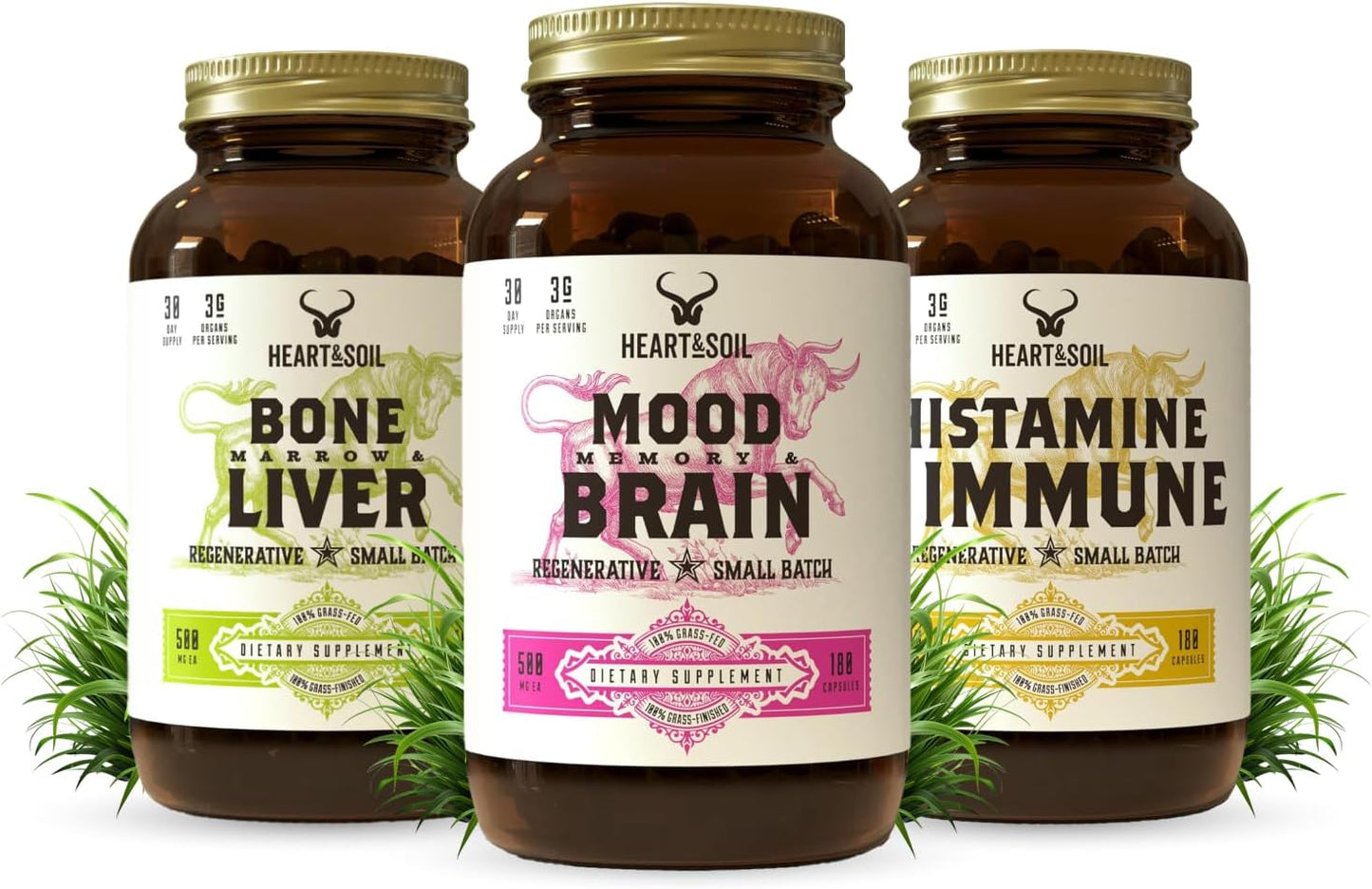 Stress Stack – Mood, Memory, Brain, Bone Marrow, Liver, and Immune Support Supplements for Cognitive and Overall Vitality