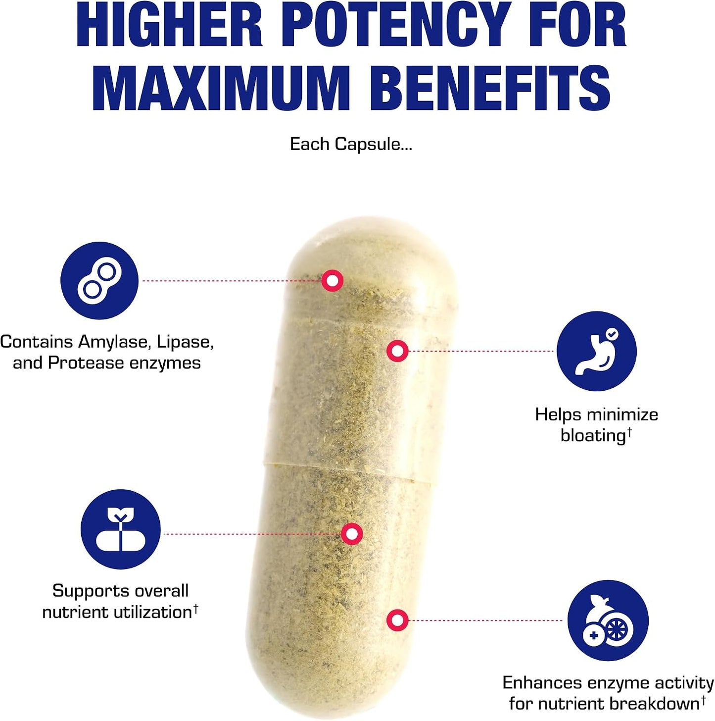 Multi Digestive Enzymes with Ox Bile Supplement - Clinical Strength Digestion Supplement with Pancreatin Pancreatic Enzymes for Protein Carb & Fat Digestive Support & Reduced Stomach Discomfort