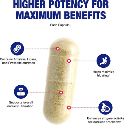 Multi Digestive Enzymes with Ox Bile Supplement - Clinical Strength Digestion Supplement with Pancreatin Pancreatic Enzymes for Protein Carb & Fat Digestive Support & Reduced Stomach Discomfort