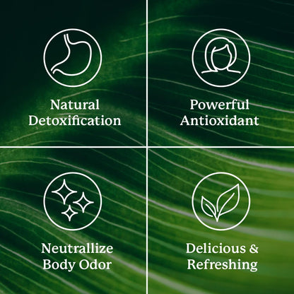 Nature's Sunshine Chlorophyll Stick Packs: Supercharge Your Detox and Boost Gut Health in Convenient, Delicious Stick Packs (Crisp Apple)