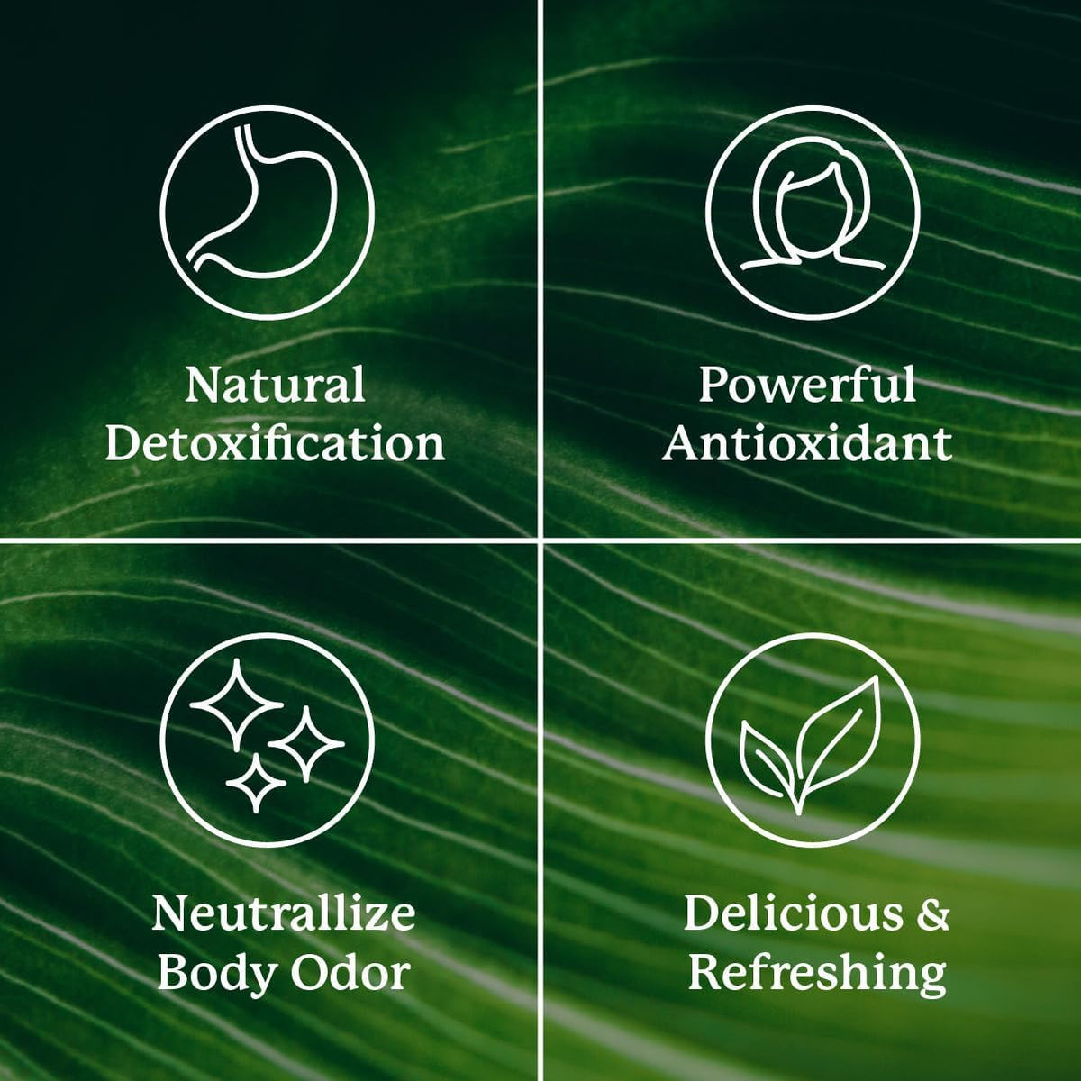 Nature's Sunshine Chlorophyll Stick Packs: Supercharge Your Detox and Boost Gut Health in Convenient, Delicious Stick Packs (Crisp Apple)